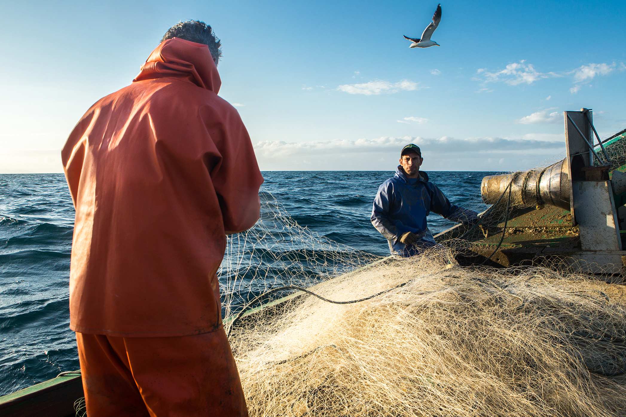 ronco-da-corvina-vitor-shimomura-documentario-fotografia