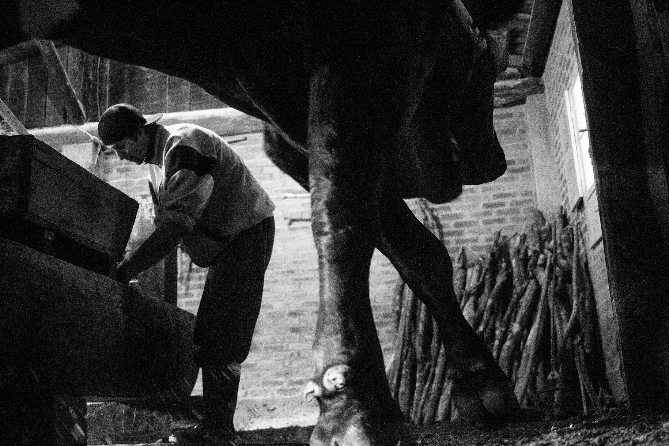 cagalha-vitor-shimomura-documentario-fotografia