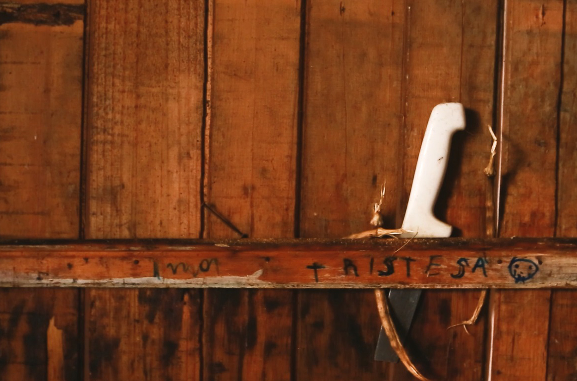 cacau-amado-vitor-shimomura-documentario-fotografia