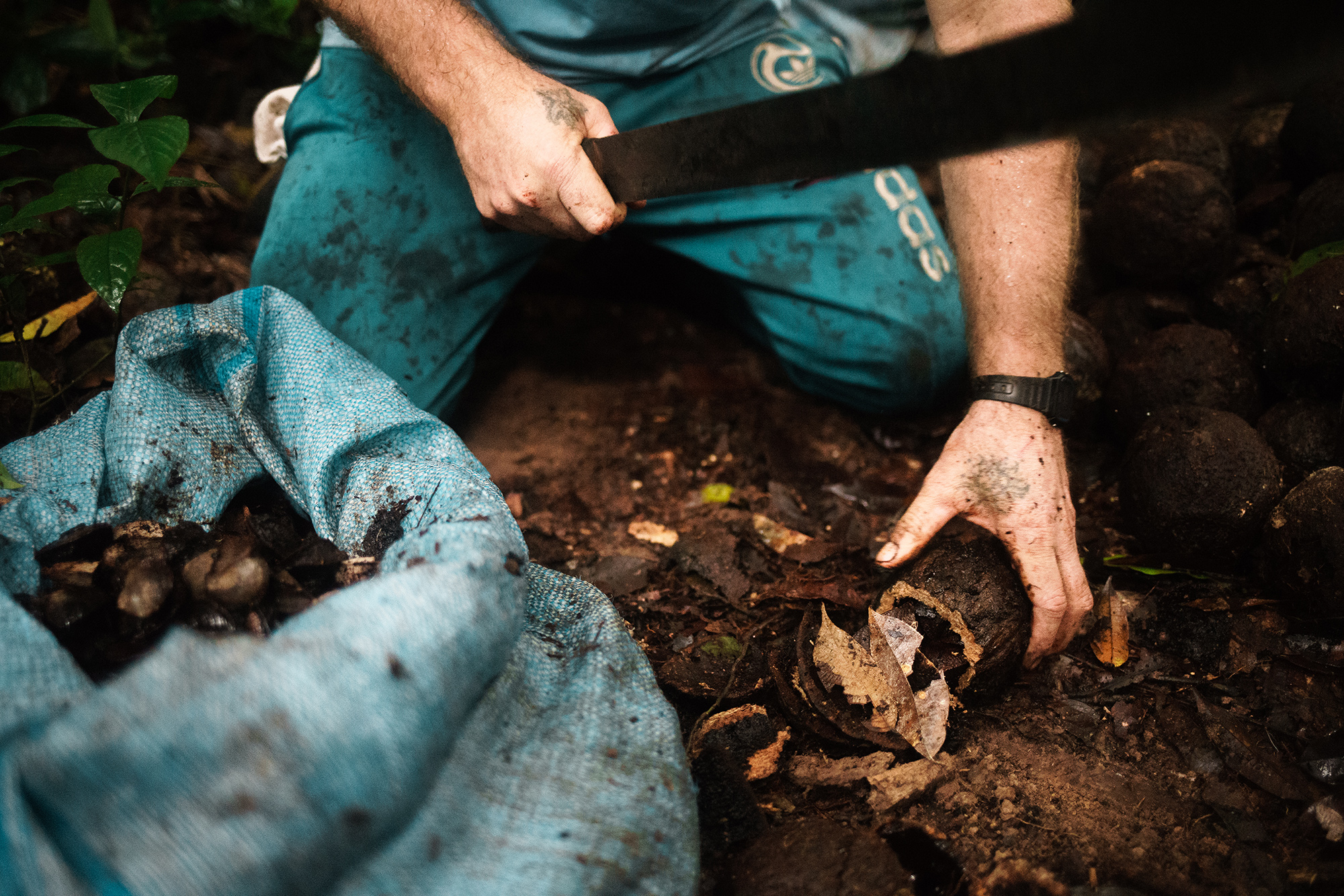 arapixi-extraviada-vitor-shimomura-documentário-fotografia