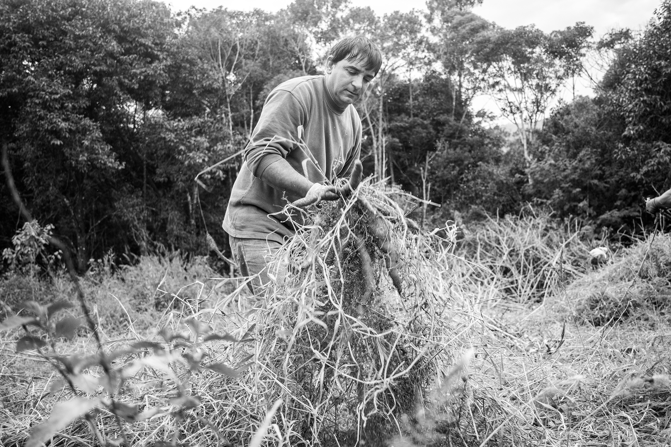cagalha-vitor-shimomura-documentario-fotografia