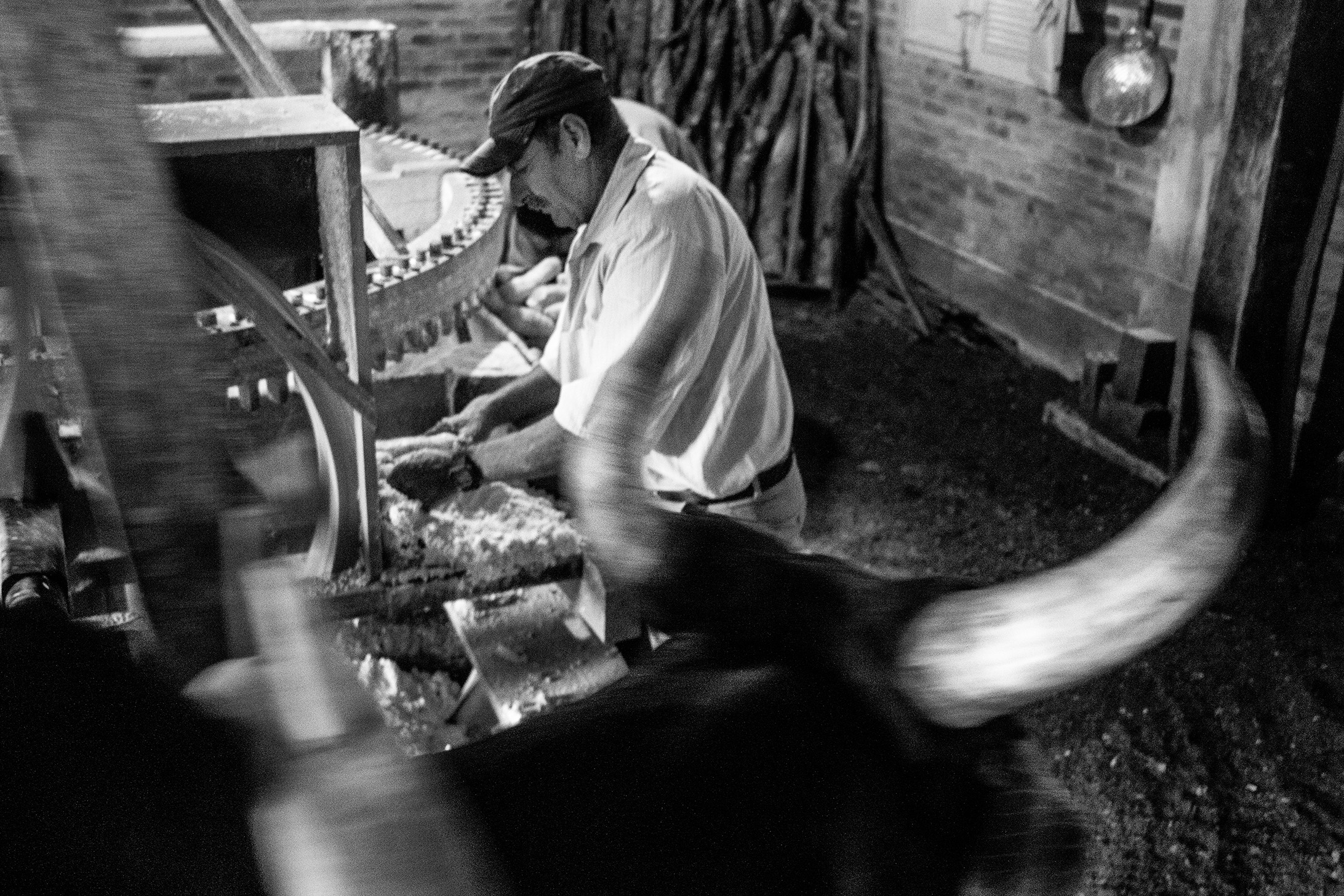 cagalha-vitor-shimomura-documentario-fotografia