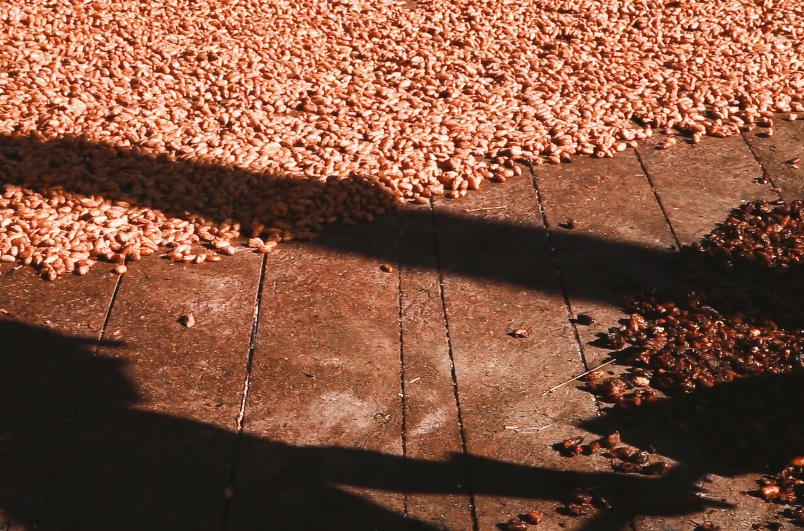 cacau-amado-vitor-shimomura-documentario-fotografia