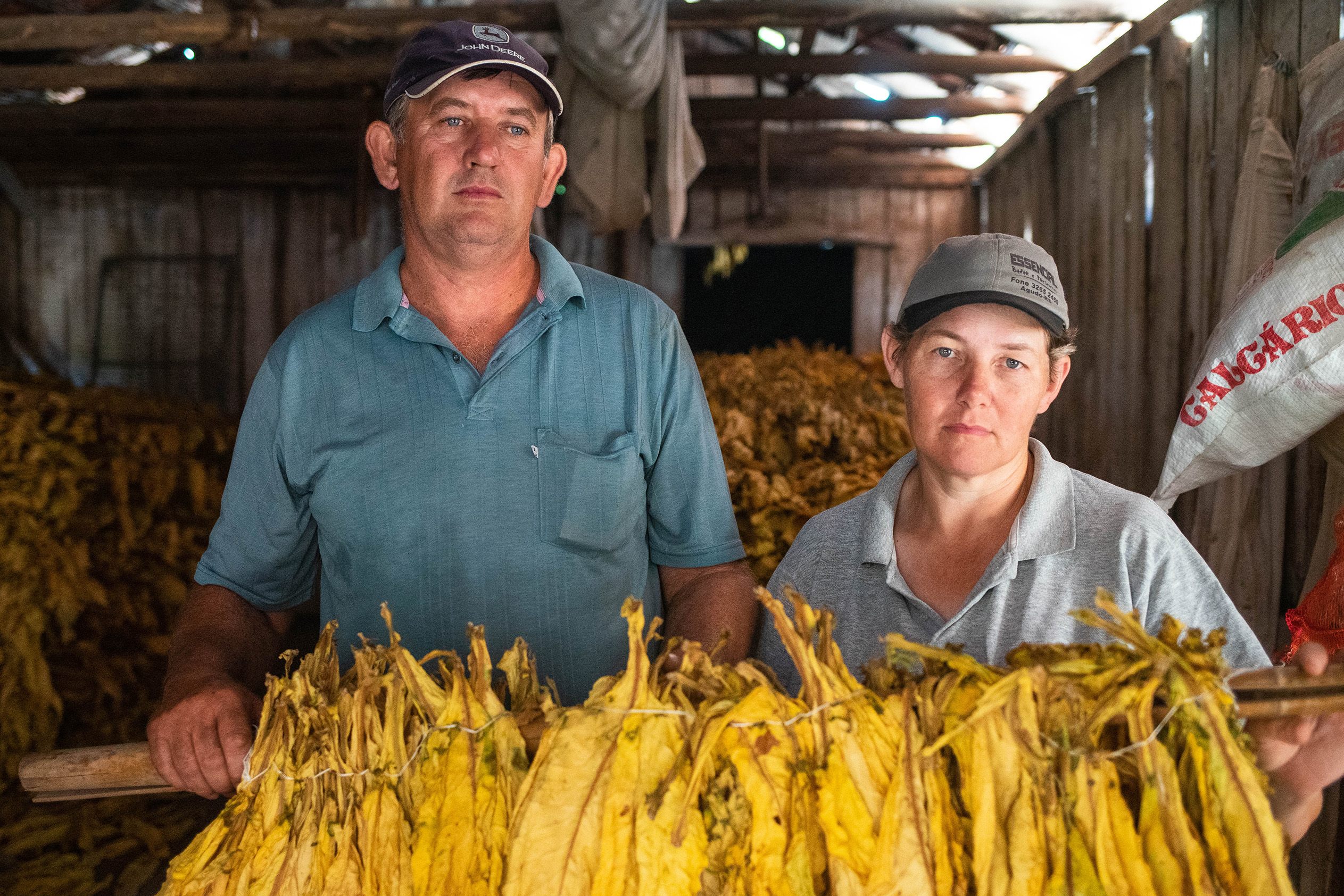 vidas-tragadas-vitor-shimomura-documentário-fotografia