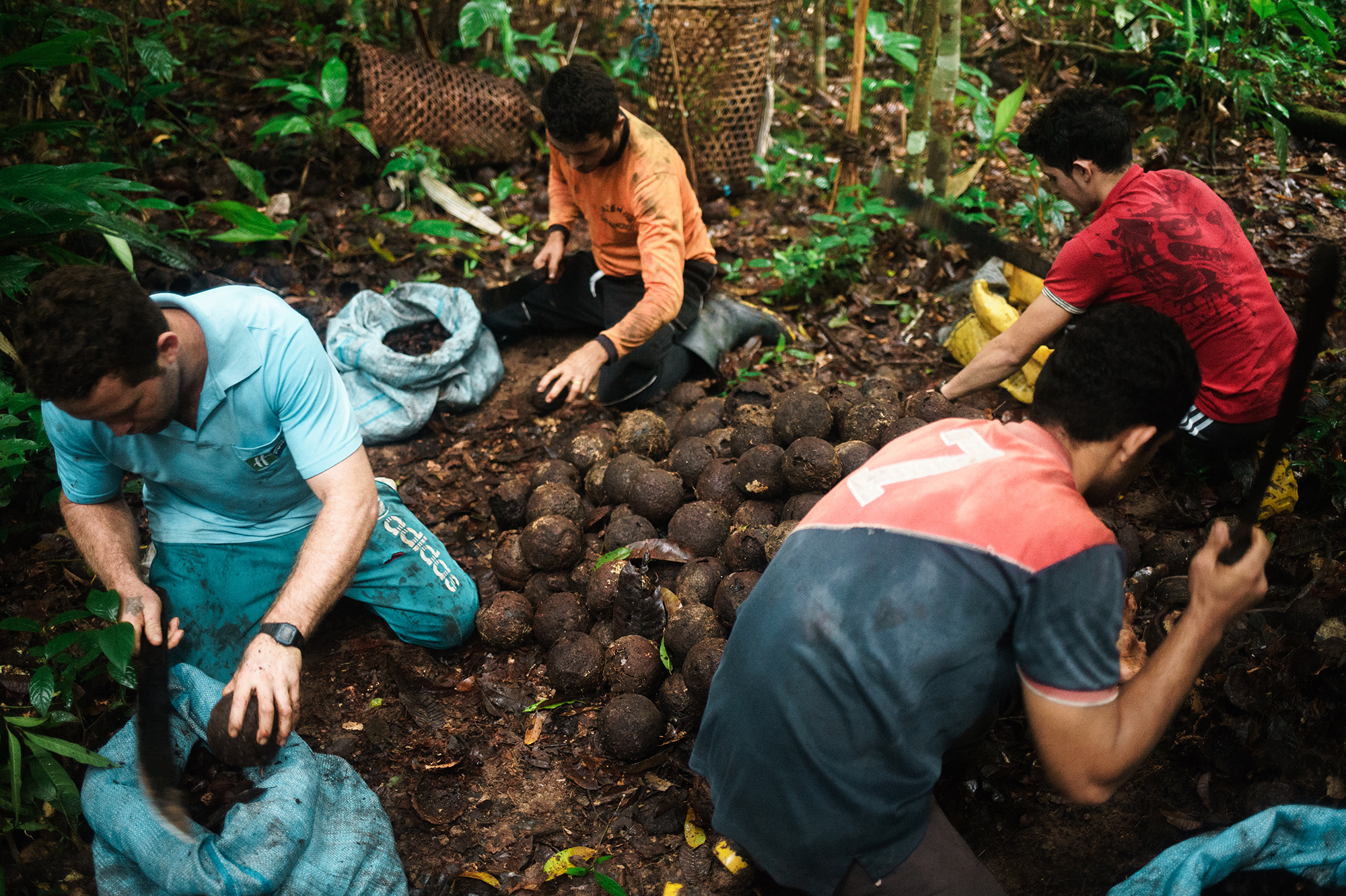 arapixi-extraviada-vitor-shimomura-documentário-fotografia