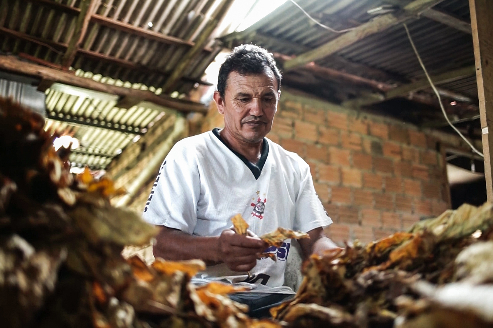 vidas-tragadas-vitor-shimomura-documentário-fotografia