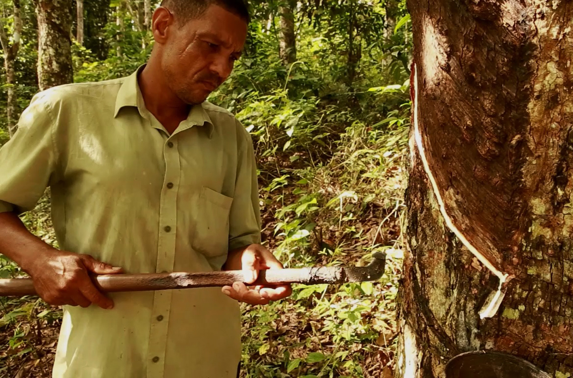 cacau-amado-vitor-shimomura-documentario-fotografia