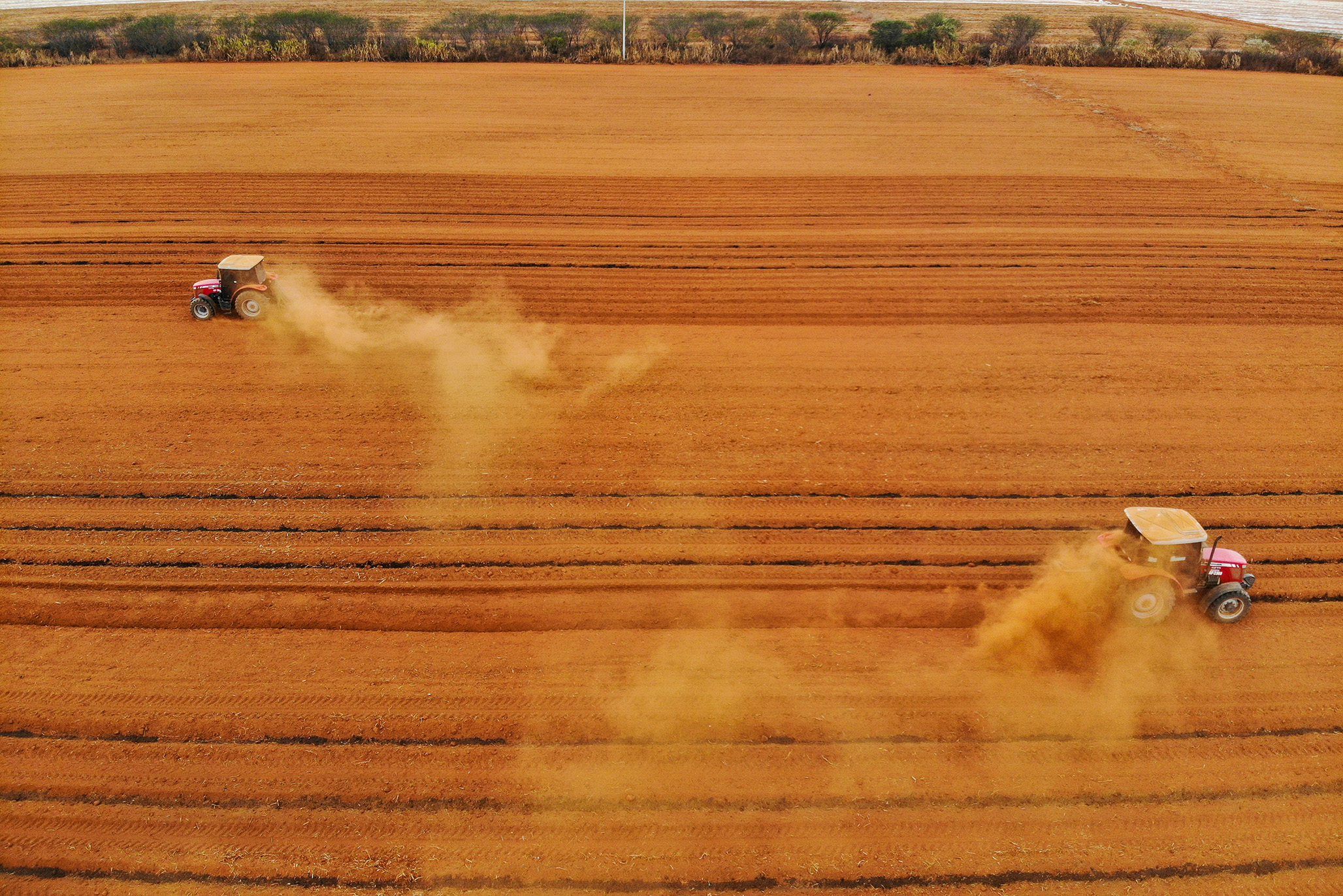 frutas-doces-vidas-amargas-vitor-shimomura-documentario-fotografia