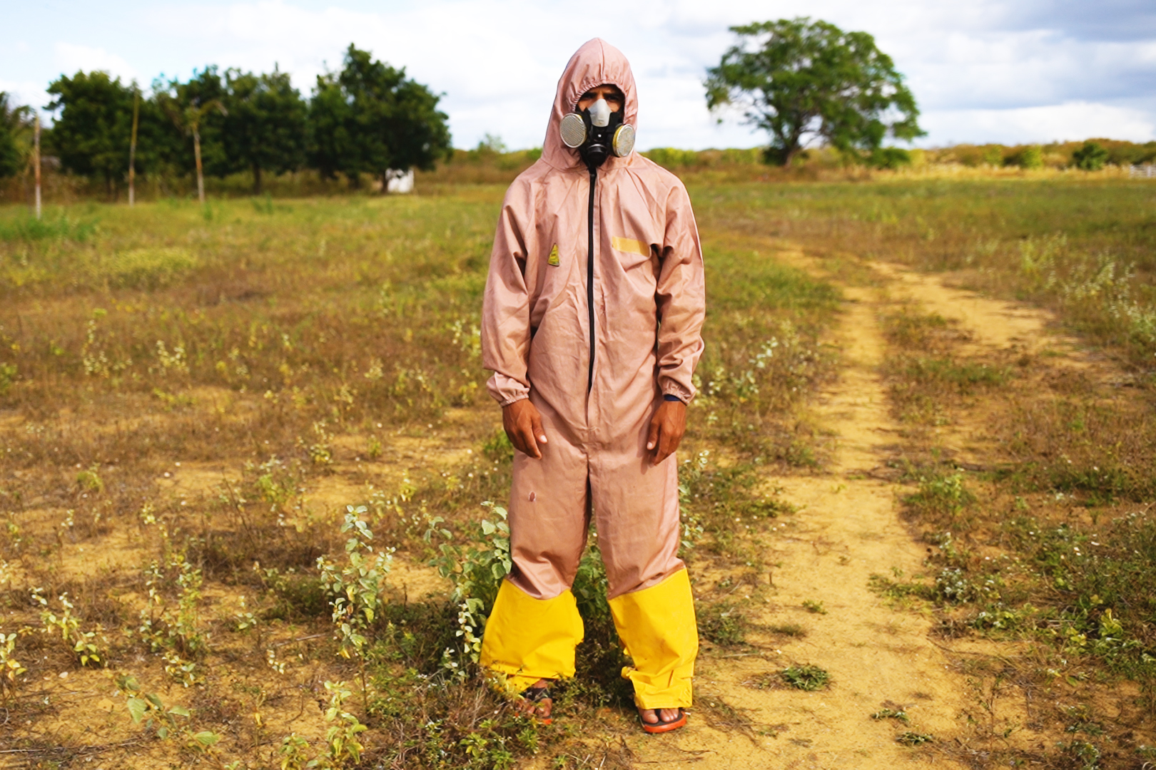 frutas-doces-vidas-amargas-vitor-shimomura-documentario-fotografia