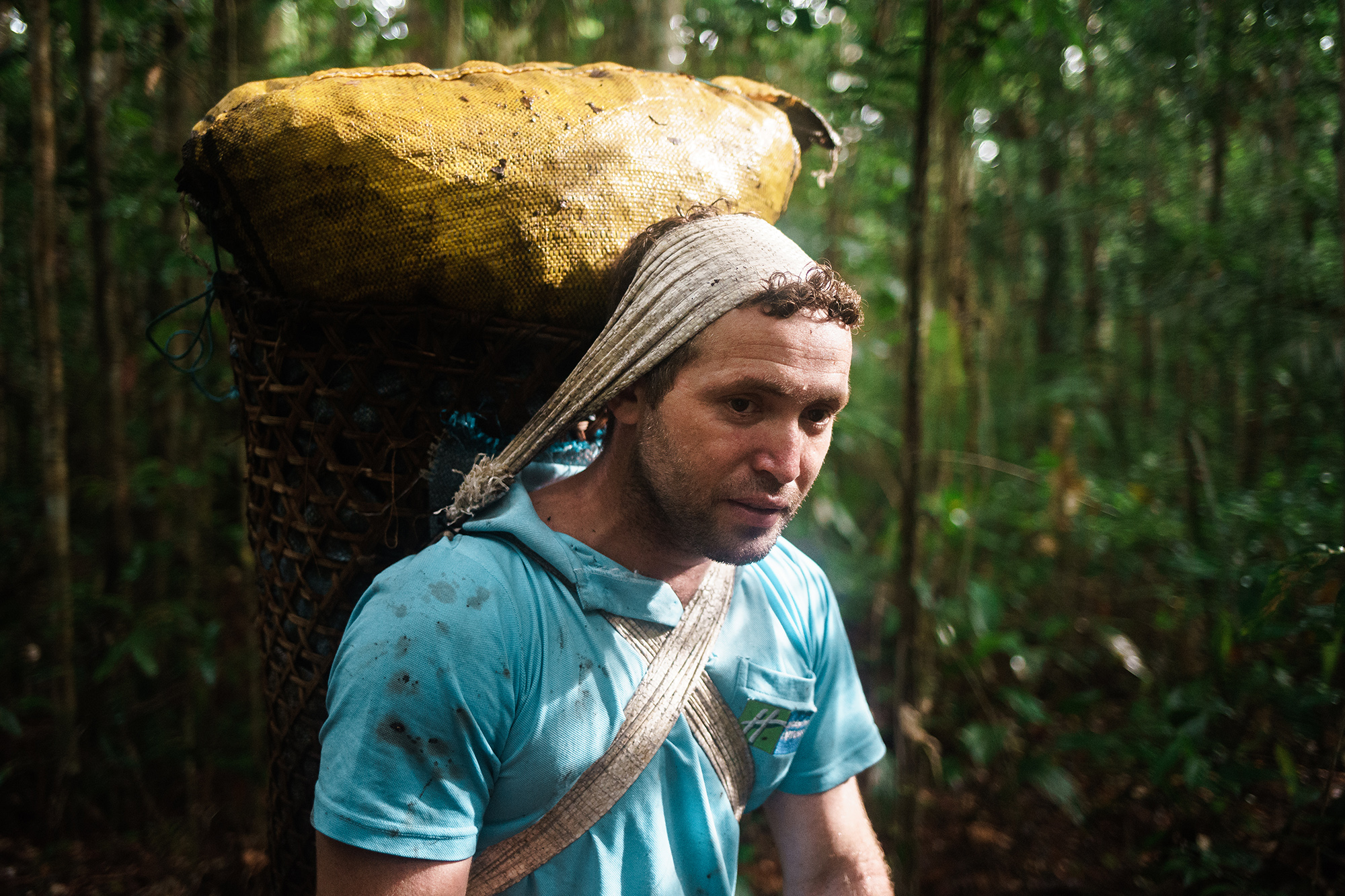 arapixi-extraviada-vitor-shimomura-documentário-fotografia