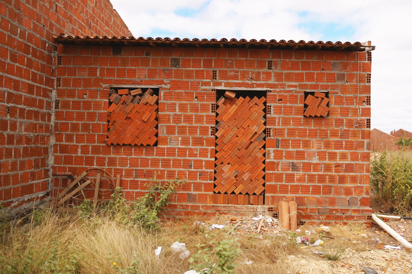 frutas-doces-vidas-amargas-vitor-shimomura-documentario-fotografia